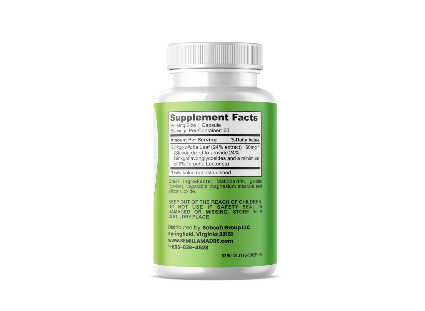 Ginkgo Biloba