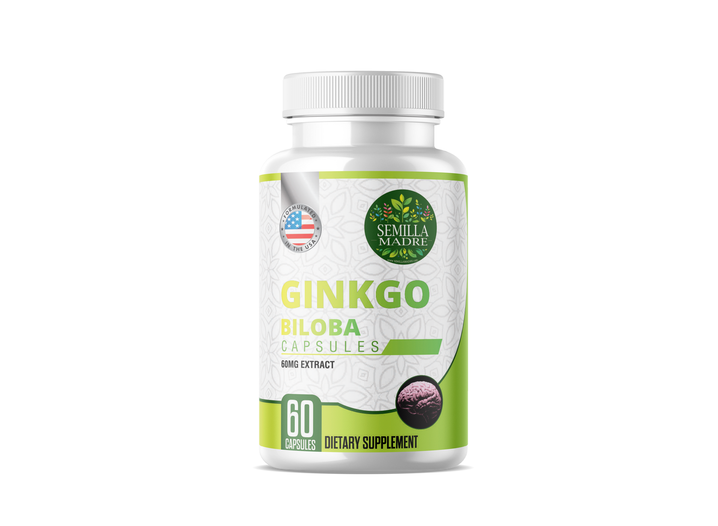Ginkgo Biloba