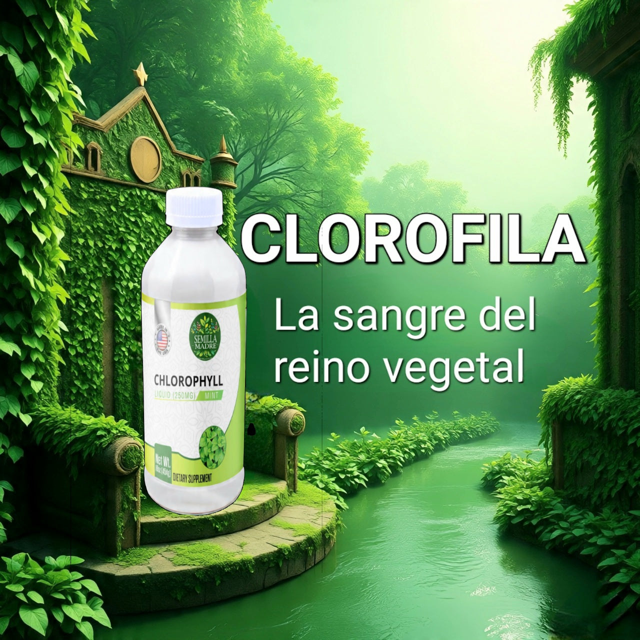 Clorofila Liquida - Liquid Clorophyll.