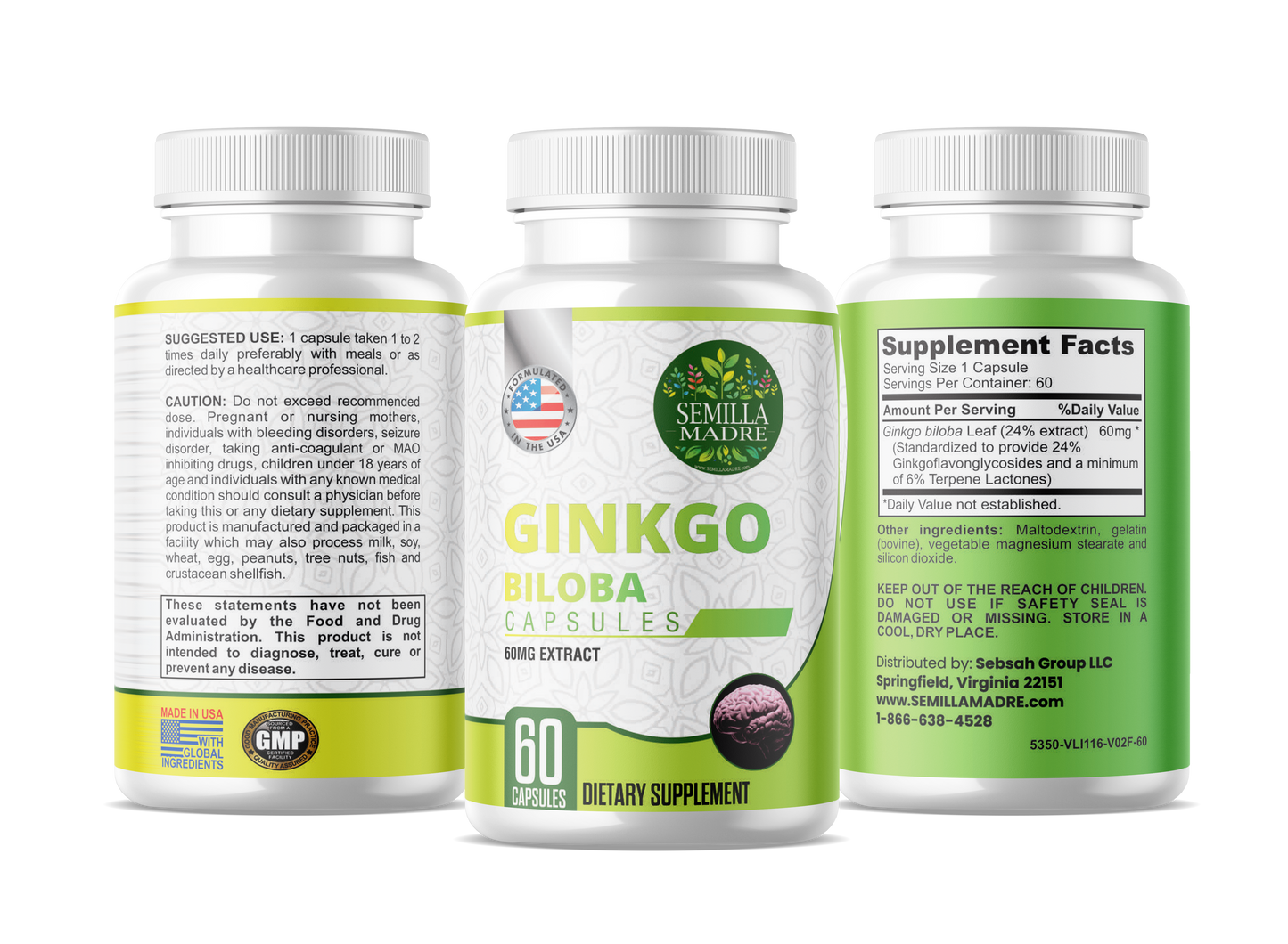 Ginkgo Biloba