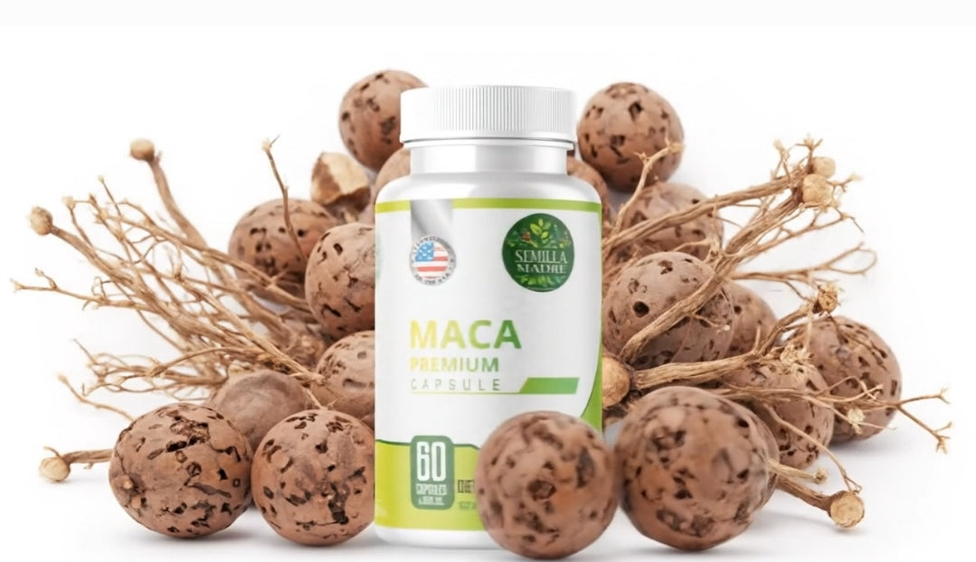 MACA Premium